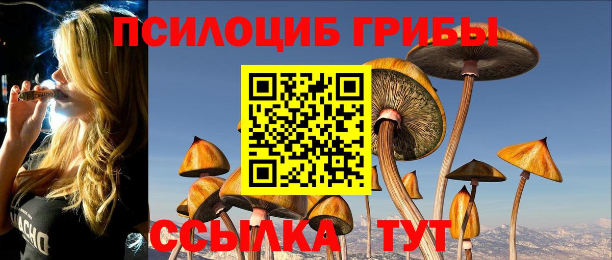Псилоцибиновые грибы MAGIC MUSHROOMS  Псилоцибиновые грибы Psilocybe  Долгопрудный  Вход с VPN 