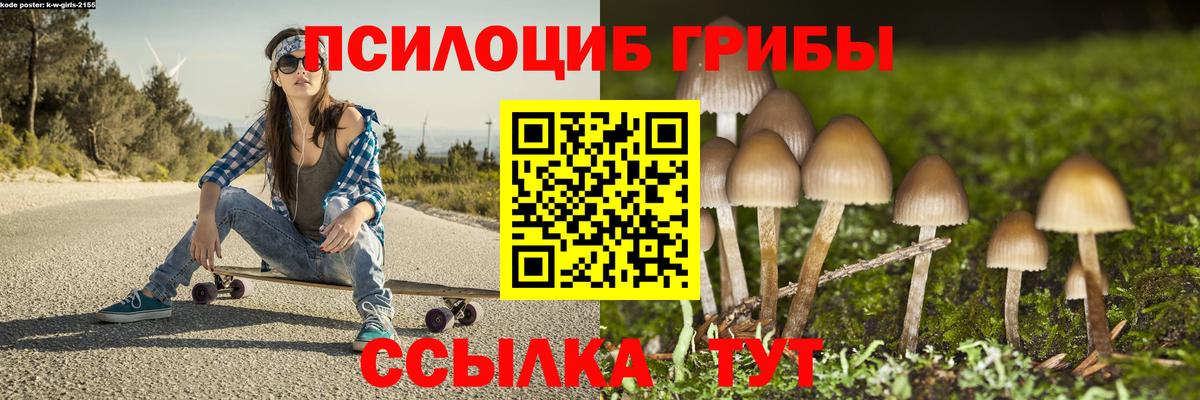 Псилоцибиновые грибы мицелий Долгопрудный